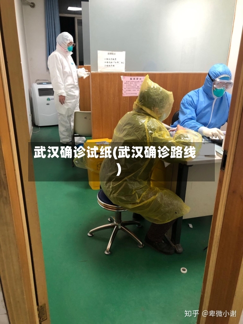 武汉确诊试纸(武汉确诊路线)-第2张图片