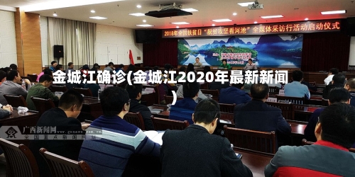 金城江确诊(金城江2020年最新新闻)-第2张图片