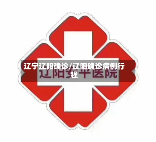 辽宁辽阳确诊/辽阳确诊病例行程