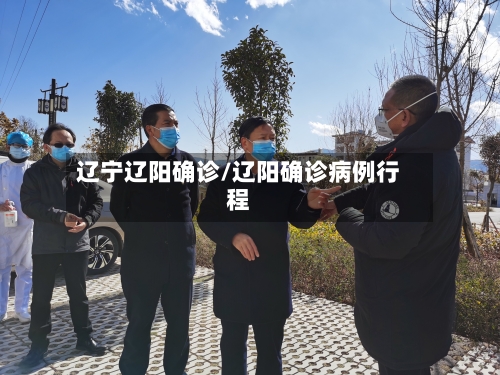 辽宁辽阳确诊/辽阳确诊病例行程-第3张图片