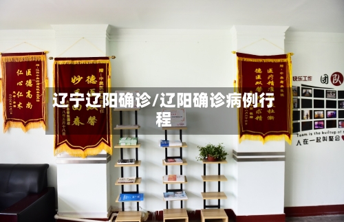 辽宁辽阳确诊/辽阳确诊病例行程-第2张图片