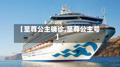 【至尊公主确诊,至尊公主号】