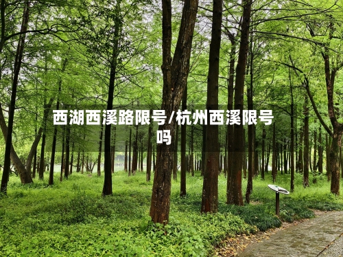 西湖西溪路限号/杭州西溪限号吗-第2张图片