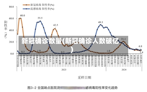新冠确诊数量(新冠确诊人数破亿)