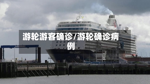 游轮游客确诊/游轮确诊病例-第2张图片