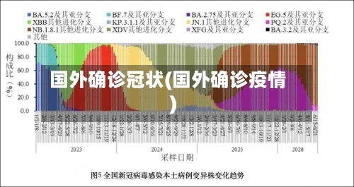 国外确诊冠状(国外确诊疫情)-第2张图片