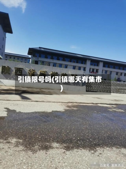 引镇限号吗(引镇哪天有集市)-第2张图片