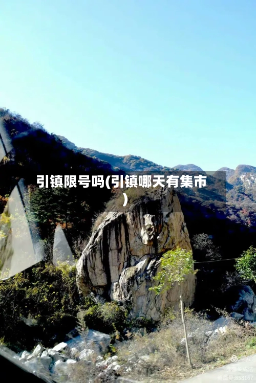 引镇限号吗(引镇哪天有集市)
