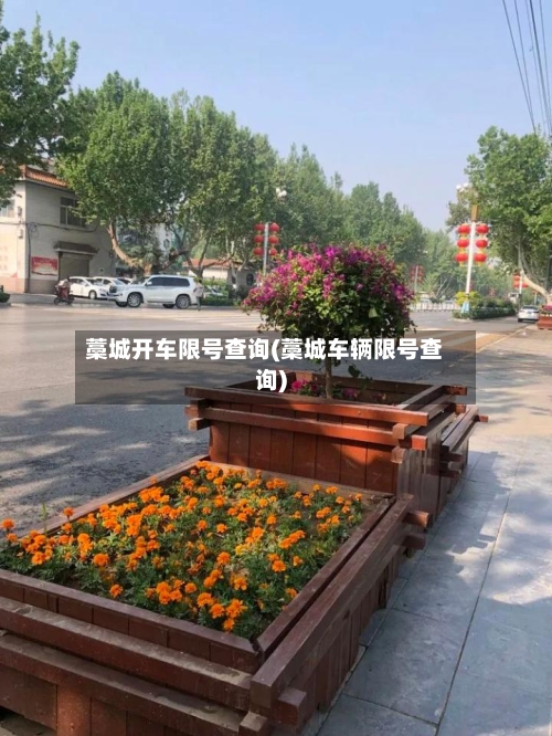藁城开车限号查询(藁城车辆限号查询)