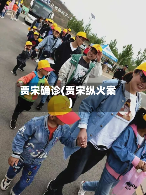 贾宋确诊(贾宋纵火案)