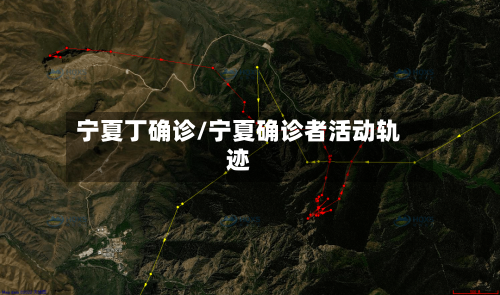 宁夏丁确诊/宁夏确诊者活动轨迹