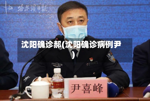 沈阳确诊郝(沈阳确诊病例尹)-第2张图片
