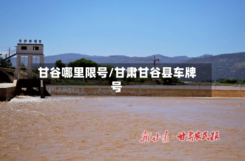 甘谷哪里限号/甘肃甘谷县车牌号