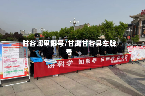 甘谷哪里限号/甘肃甘谷县车牌号-第3张图片
