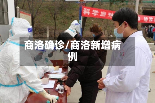 商洛确诊/商洛新增病例