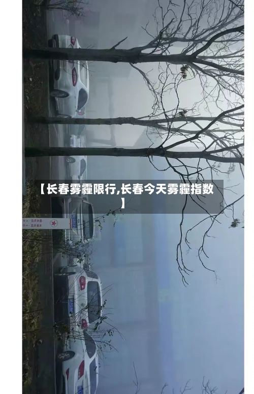 【长春雾霾限行,长春今天雾霾指数】-第3张图片