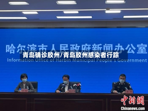 青岛确诊胶州/青岛胶州感染者行踪-第2张图片