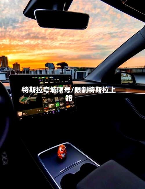 特斯拉夸城限号/限制特斯拉上路-第2张图片