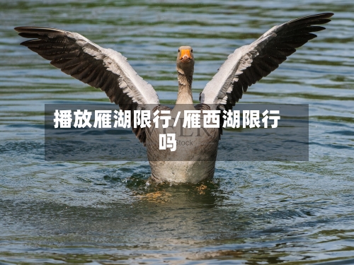 播放雁湖限行/雁西湖限行吗