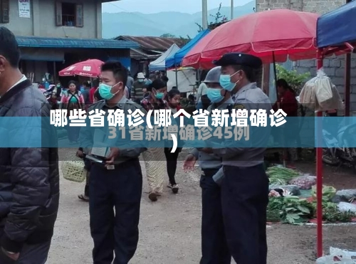 哪些省确诊(哪个省新增确诊)-第2张图片