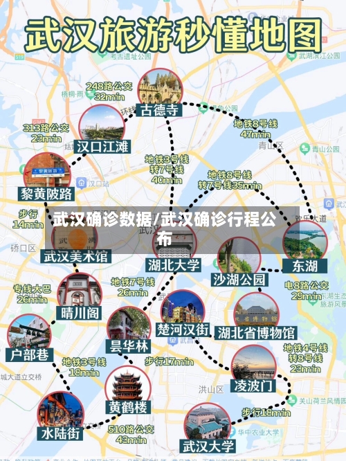 武汉确诊数据/武汉确诊行程公布