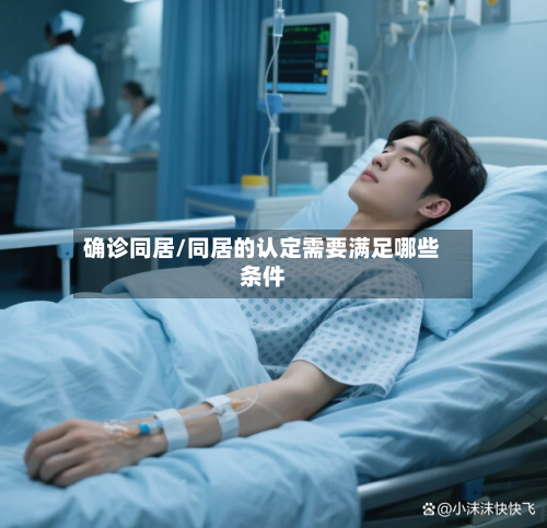 确诊同居/同居的认定需要满足哪些条件