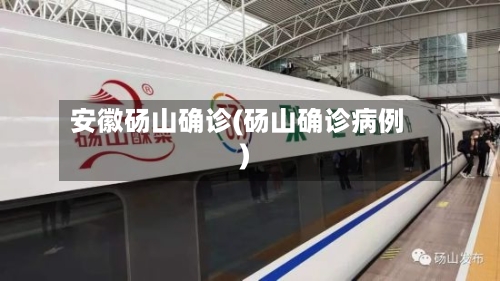 安徽砀山确诊(砀山确诊病例)