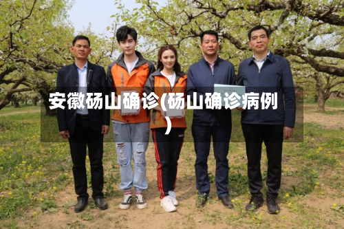安徽砀山确诊(砀山确诊病例)-第2张图片