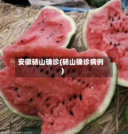 安徽砀山确诊(砀山确诊病例)-第3张图片