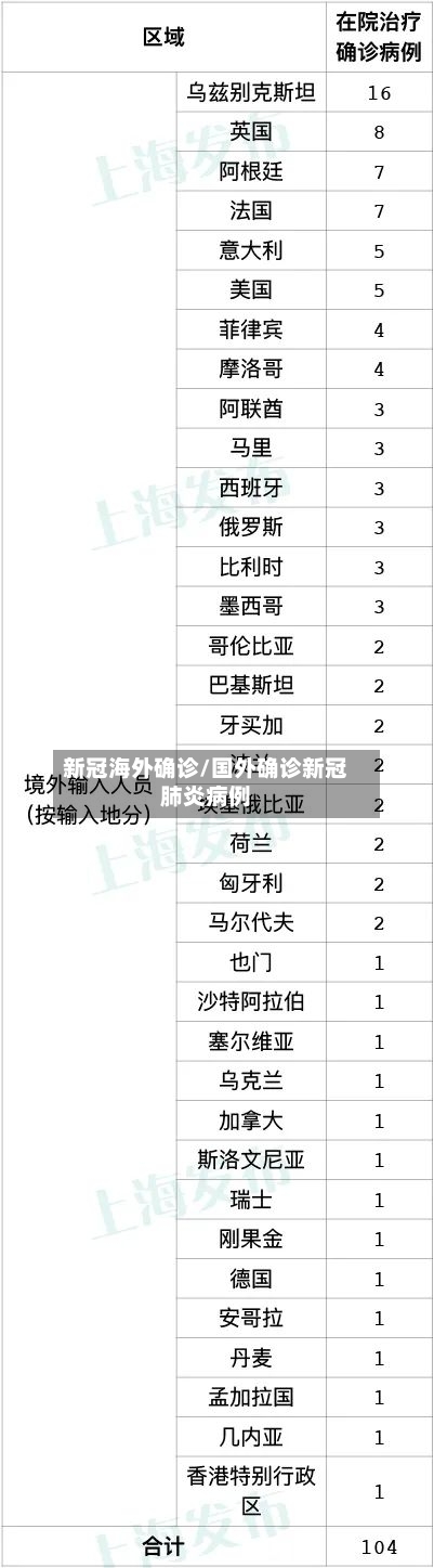 新冠海外确诊/国外确诊新冠肺炎病例-第3张图片