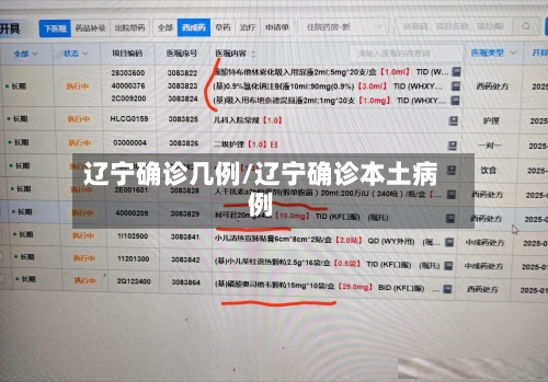 辽宁确诊几例/辽宁确诊本土病例-第2张图片