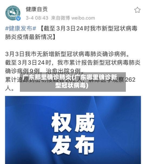 广东那里确诊肺炎(广东哪里确诊新型冠状病毒)-第2张图片