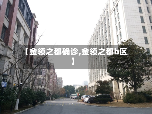 【金领之都确诊,金领之都b区】-第3张图片