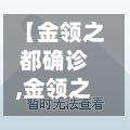 【金领之都确诊,金领之都b区】