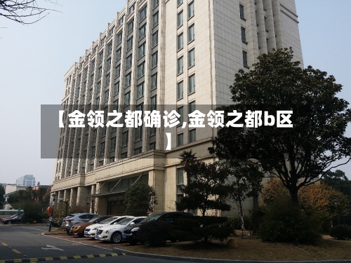 【金领之都确诊,金领之都b区】-第2张图片
