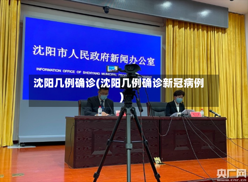 沈阳几例确诊(沈阳几例确诊新冠病例)