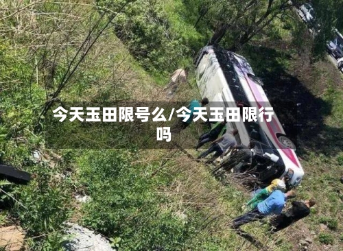 今天玉田限号么/今天玉田限行吗