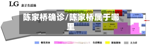 陈家桥确诊/陈家桥属于哪里