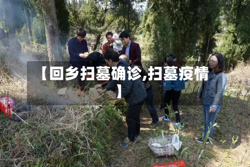 【回乡扫墓确诊,扫墓疫情】