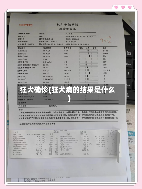 狂犬确诊(狂犬病的结果是什么)-第2张图片