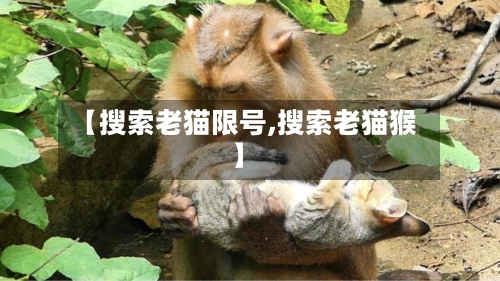 【搜索老猫限号,搜索老猫猴】-第2张图片