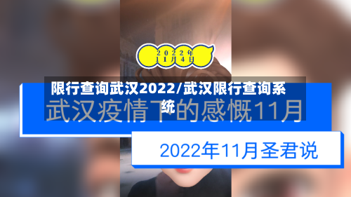 限行查询武汉2022/武汉限行查询系统-第2张图片