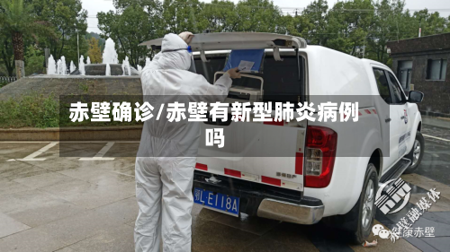 赤壁确诊/赤壁有新型肺炎病例吗-第2张图片
