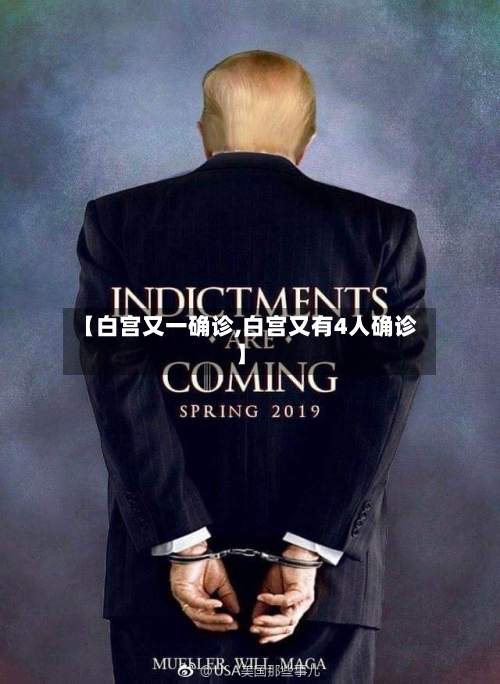 【白宫又一确诊,白宫又有4人确诊】-第2张图片