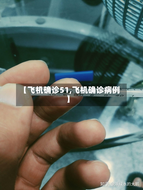 【飞机确诊51,飞机确诊病例】-第2张图片