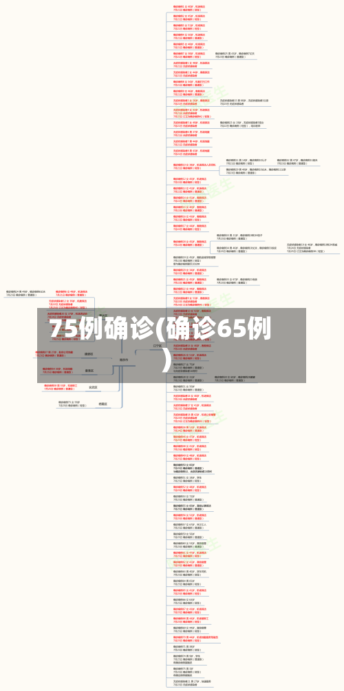 75例确诊(确诊65例)-第2张图片