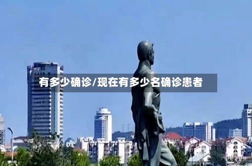 有多少确诊/现在有多少名确诊患者-第3张图片