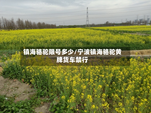 镇海骆驼限号多少/宁波镇海骆驼黄牌货车禁行
