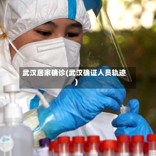 武汉居家确诊(武汉确证人员轨迹)-第2张图片