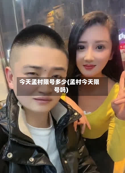 今天孟村限号多少(孟村今天限号吗)